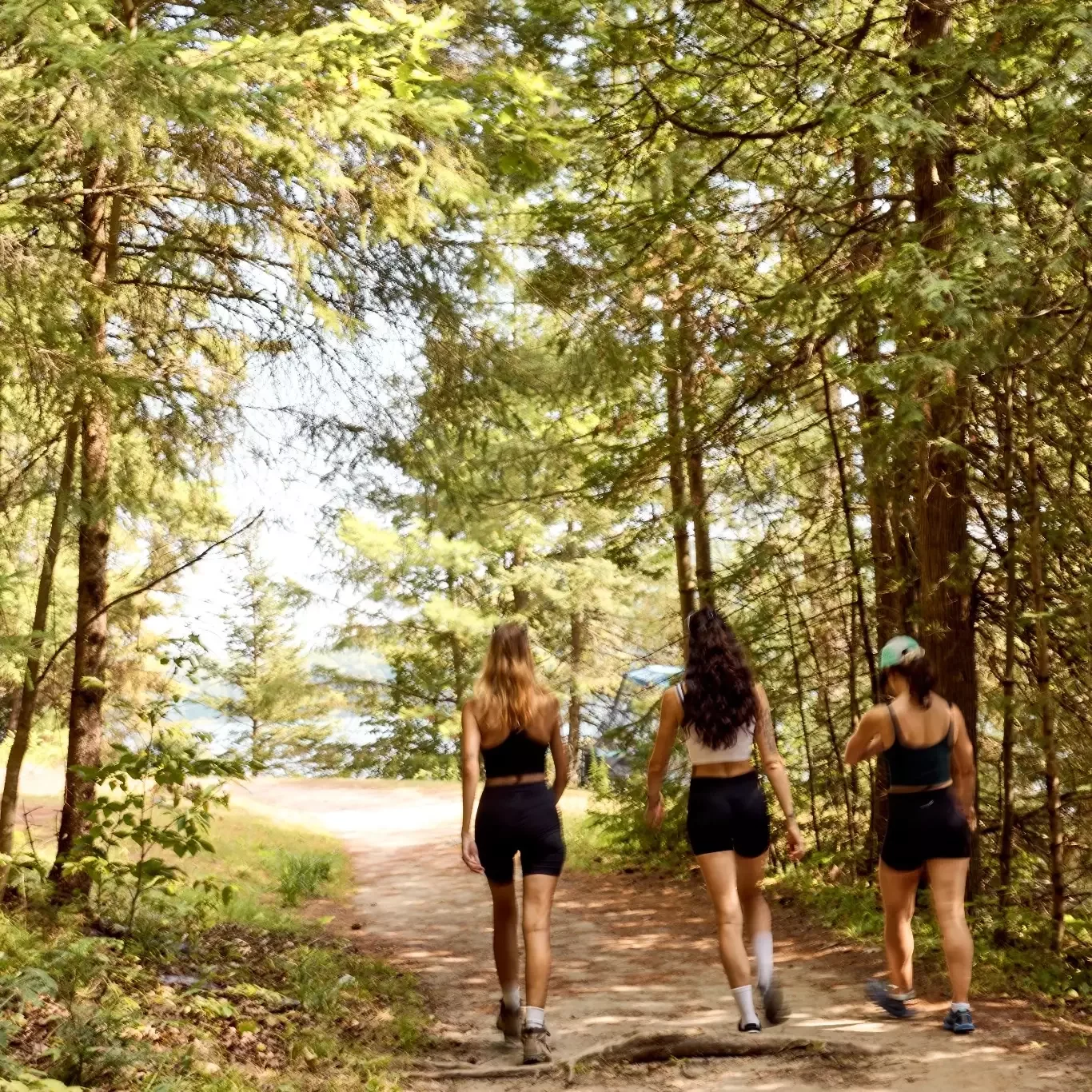 Three friends walking along a sunlit forest path toward the lake.
